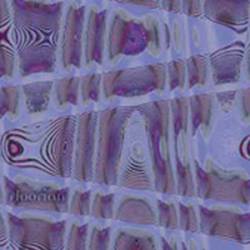 Floorian : What the Buzzing